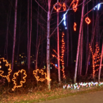 Desvendando a Magia do Solstício de Inverno: Celebrando o Solstício de Inverno